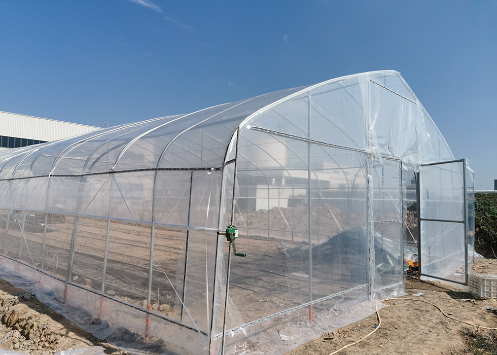 Ultimi blog aziendali su Scaffale di serra di plastica di grado industriale, personalizzabile per l'agricoltura commerciale.