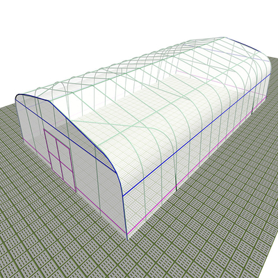 Landbouwplastic-polytunnelkas voor groenten en zaden
