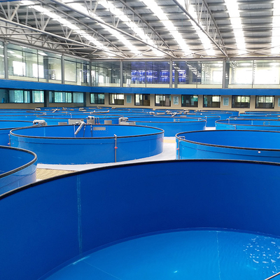 Sistema di acquacoltura ricircolata ad alta densità controllabile a temperatura Sistema di allevamento RAS