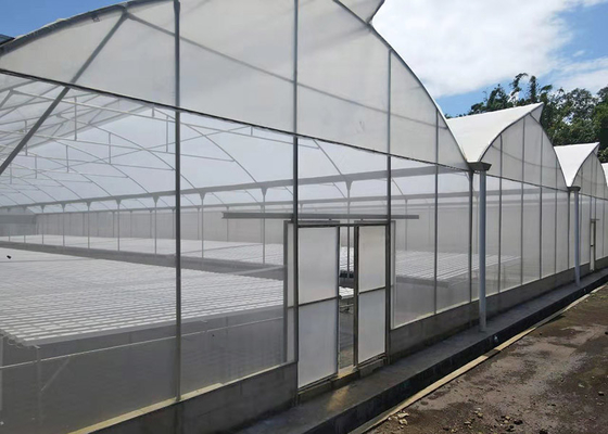 Serra multi-span personalizzata senza saldatura per piantagione di tubi in PVC