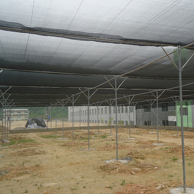 Mua Polyethylene Đèn ánh nắng nhẹ Nhà kính Nhà thương mại online manufacture
