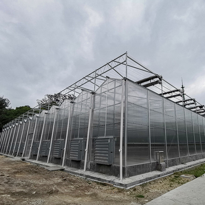 Mua Ống cách nhiệt Venlo Polycarbonate Bảng PC Panel Nhà kính online manufacture