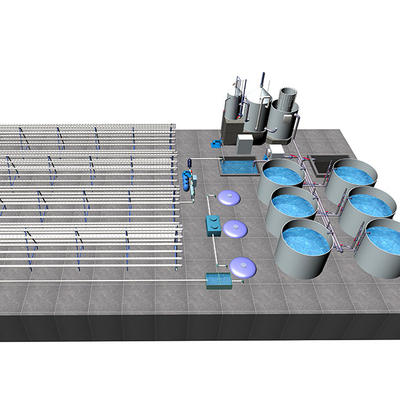comprare Sistema avanzato di coltivazione di acquaponica agricola Sistema commerciale di acquaponica online manufacture