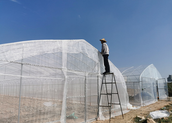 Mua HDPE côn trùng Net nhà ống thép kẽm cho vườn cây trồng rau online manufacture