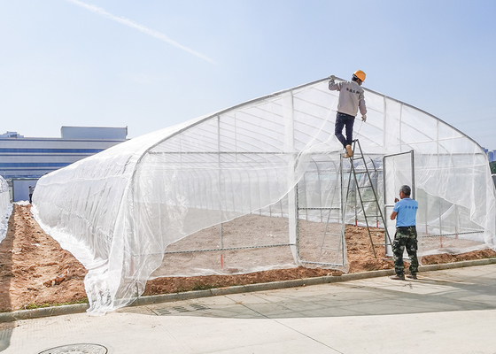kaufen Weiterentwickelte klare Anti-Tropfen Stahlrahmen Gewächshaus Poly Tunnel für Gärten online manufacture