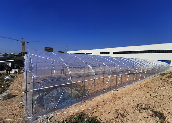 comprar Cultivo de vegetales invernadero de sola extensión con material de cobertura de red de sombra película anti-UV online manufacture