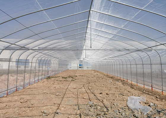 kaufen Wirtschaftlich Einfache Installation Polycarbonat Gewächshaus Kits Schwerlast Poly Tunnel online manufacture