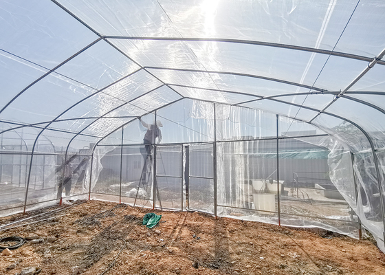 comprare Film trasparente alto e affidabile per l'agricoltura verticale online manufacture