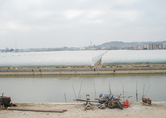 comprar Invernadero eficiente de una sola franja, fuerte adaptabilidad adecuada para el cultivo online manufacture