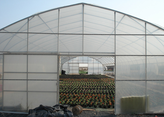 kopen Ruime single span kas met 3,5-6m hoogte anti-druppel film voor verschillende gewassen online manufacture