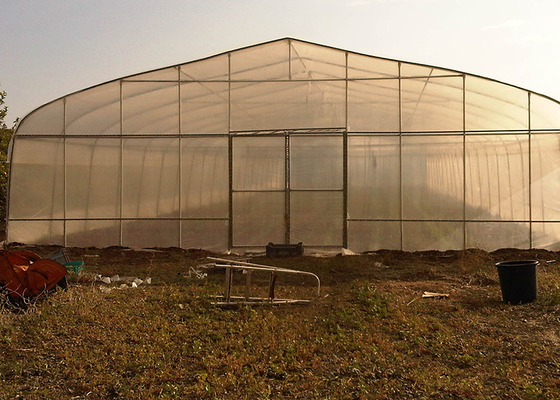 comprare Serra in plastica da 10 m di larghezza per esterno, altezza del tetto 3-6 metri online manufacture