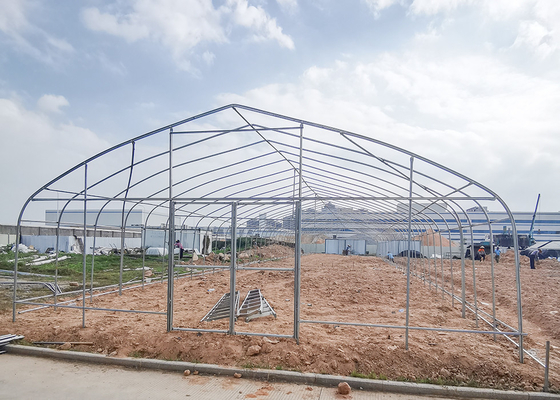 comprare Serra a cornice galvanizzata a singolo tratto per la coltivazione di verdure online manufacture