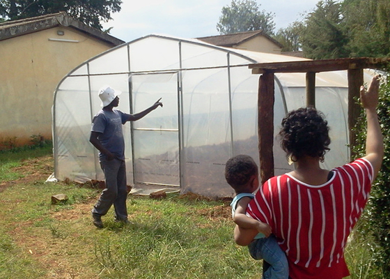 Buy All Season Use Diy Small Greenhouse Walk In Greenhouse Kit For Garden online manufacture