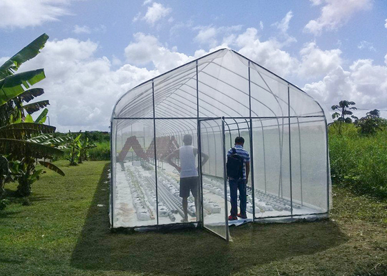 Mua Bảo vệ tia cực tím Nhà kính polycarbonate nhỏ Nhà kính đường hầm nhỏ Với khung chống rỉ sét online manufacture