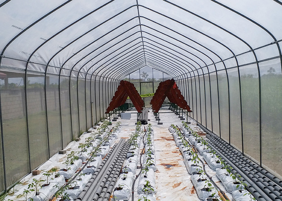 Buy Small Galvanized Greenhouse with Reinforced Plastic Film for All-Season Growing online manufacture