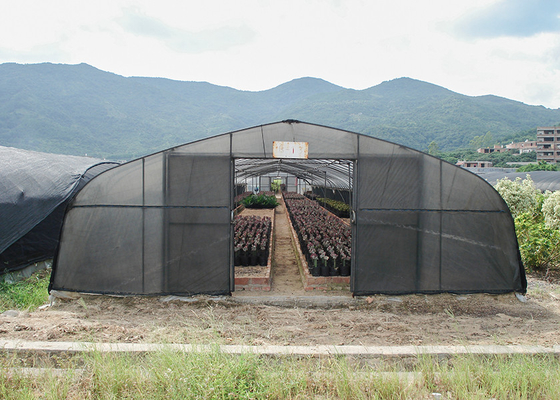 kaufen Ökonomisch und einfach zu installieren Kunststoffpolytunnel Gewächshaus für den Anbau von Speisepilzen online manufacture