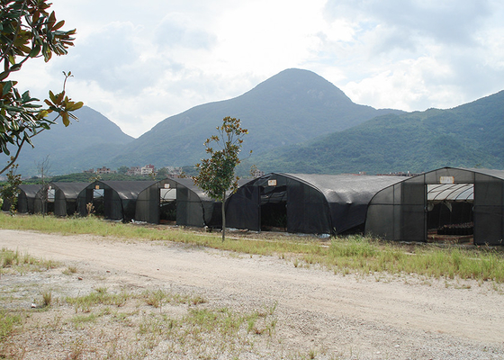 comprar Não Soldar Cogumelos Estufas de Plástico Exteriores Estufas de Plástico UV online manufacture