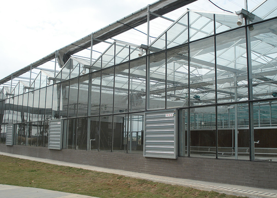comprare Serre di vetro con tenda termica per una floricoltura perfetta e con scarsa illuminazione online manufacture