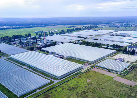 kopen Gelast Multi Span kas gegalvaniseerd frame voor overvloedige bloem online manufacture
