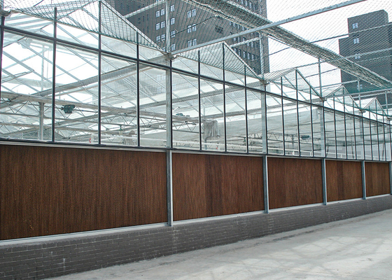 comprar Invernaderos de vidrio VENLO ajustables, hermosos y de buen aspecto online manufacture