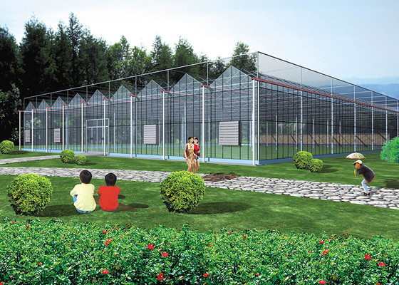 comprare Struttura robusta, clima regolabile VENLO Serre in vetro per la coltivazione di fragole e fiori online manufacture