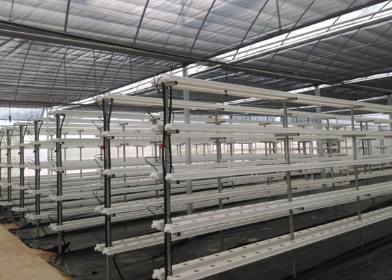 kopen Verticaal geautomatiseerd PVC Nft Hydroponics System Nft Hydroponic Farm online manufacture