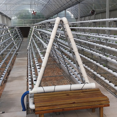 Mua Hệ thống trồng thủy sản NFT tiết kiệm nước với quản lý tự động online manufacture