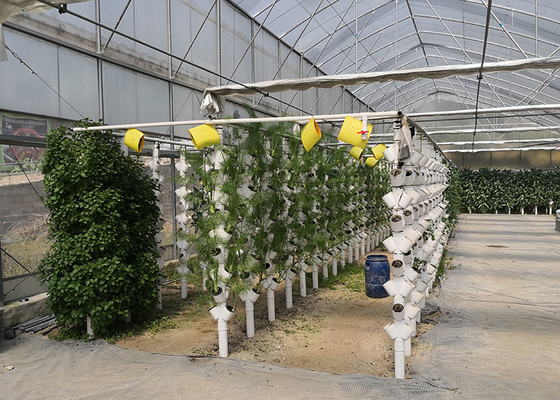 kopen Multi Tier NFT Hydroponics System Sterke aanpasbaarheid voor hoge dichtheid planten online manufacture