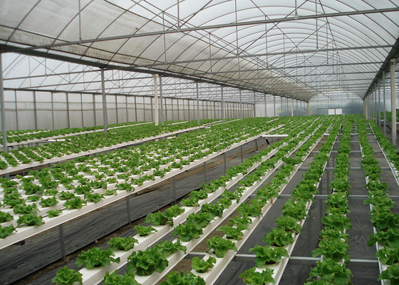 kopen Hoge dichtheid NFT Hydroponics systeem Vinnige oogstcyclus Automatische besturing online manufacture