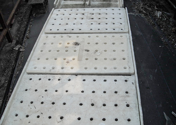 Buy UV Sterilized DWC Hydroponics System Ideal For Disease Resistant Vegetable Cultivation online manufacture