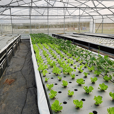 kupować Automatyczna regulacja antyalg Kit do hodowli w głębokiej wodzie Dwc Hydroponics System uprawy online manufacture