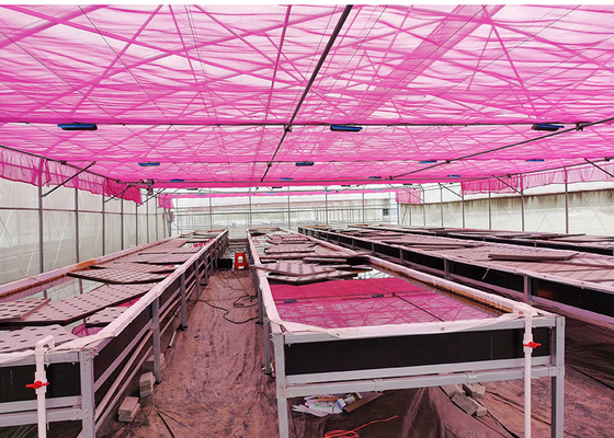 kaufen Nachhaltige Nährstoffe Recycling Tiefwasser Anbau System Recycling Dwc System online manufacture