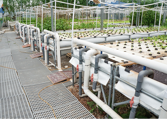 Mua Phân lưu tự động PH ổn định Dwc Hệ thống phát triển nước sâu Hydroponics online manufacture