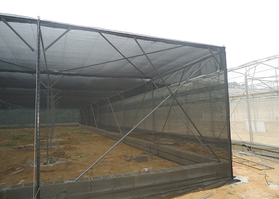 Mua UV chống lưới nhà và Polyhouse đen cho vườn ươm hạt giống online manufacture