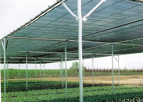 kopen Op maat gemaakte beestbescherming Schaduwhuis Kas Tuin Schaduwhuis online manufacture