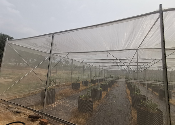 Mua Nhà kính khung kim loại mạnh để trồng hoa trong nồi online manufacture