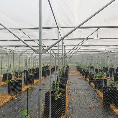Beli Tidak ada pengelasan Serangga Proof Heavy Duty Greenhouse Metal Frame Greenhouse online manufacture