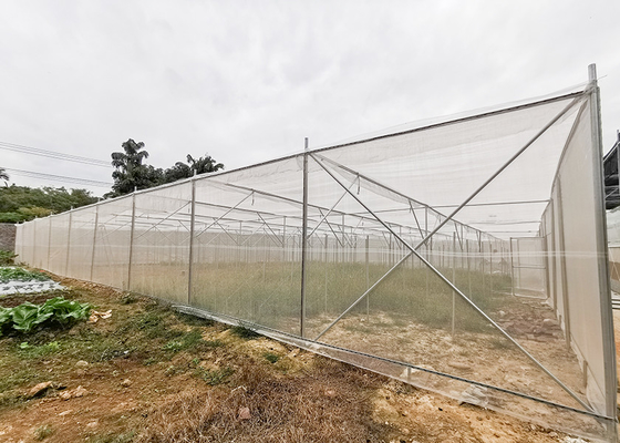 kaufen Gartenanbau Insektennetz Haus Stahlrahmen für den Blumenanbau online manufacture