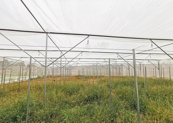 comprar Invernadero a prueba de insectos HDPE de 2 a 5 metros de altura que reduce los desastres naturales online manufacture
