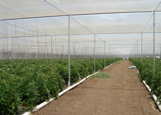 comprar Redes anti-insectos econômicas e eficientes para o cultivo de vegetais online manufacture