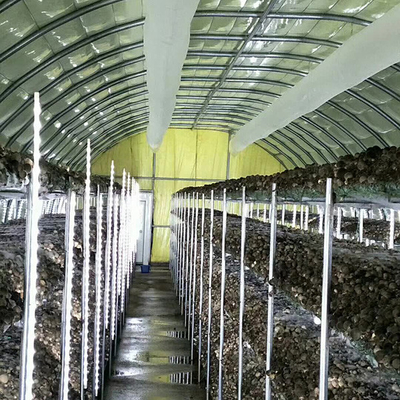 comprare Serra per funghi all'aperto larghezza 7-10 metri con coperta isolante online manufacture