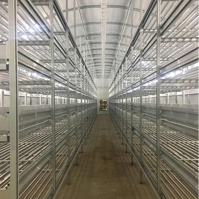 comprare Serra per funghi all'aperto resistente Lunghezza personalizzata per un utilizzo efficiente dello spazio online manufacture