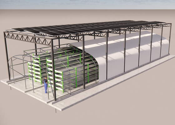 kaufen Solarbetriebener Schwarzfilm Gewächshaus Pilzanbau Starkes Kunststoffgewächshaus online manufacture