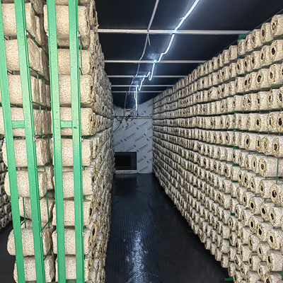 kaufen Einfach zu installieren ohne Fundament online manufacture