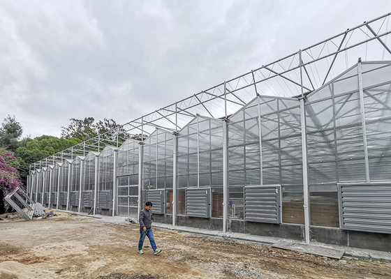 comprare Serra in policarbonato multi-spano per il clima caldo 12 metri di larghezza online manufacture