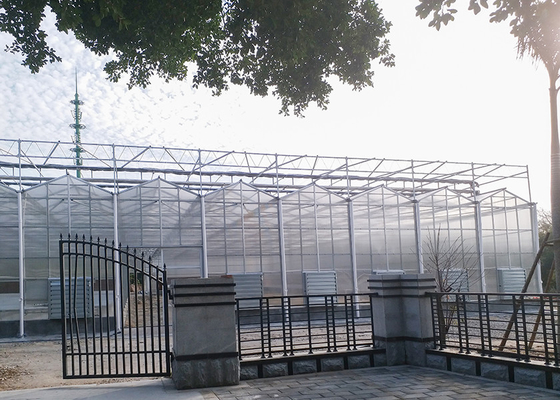 Mua Chống lạnh hai lớp thương mại Venlo Polycarbonate tấm Geenhouse với hệ thống sương mù online manufacture