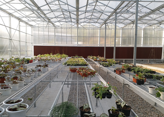 kopen Hoge transparantie en duurzaam PC-materiaal, ruime PC-kweekhuizen in het interieur - ideaal voor het hele jaar door planten kweken online manufacture