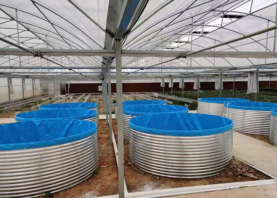 comprare Sistema industriale di acquacoltura a ricircolo in ambienti chiusi 7 kg/m3 Densità di gamberi 30% più veloce online manufacture