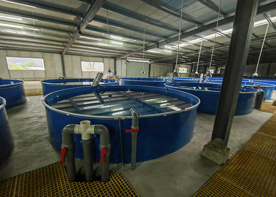 Buy Smart Fish Farming Ras System AI Monitoring For Catfish Trout Breeding Industrial Ras System online manufacture