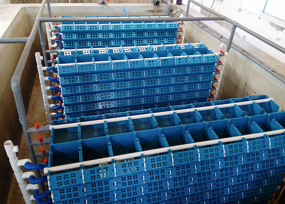 comprare Sistema di ricircolo dell'acqua in acquacoltura online manufacture